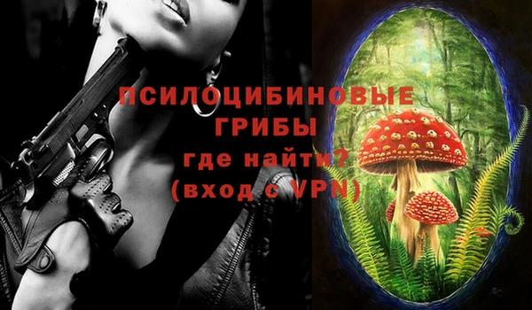 прущий лед Рославль